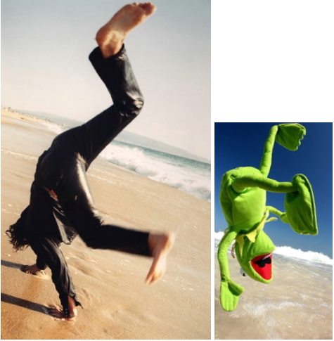 bale-kermit21.jpg